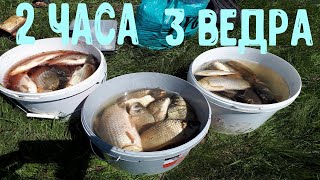 Где ловят карася в самарской области