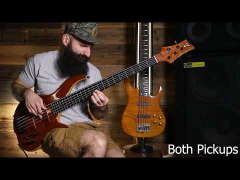 Lydian Collective - Legend of Lumbar (bass cover)