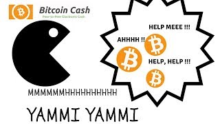 Was ist los mit Bitcoin Cash