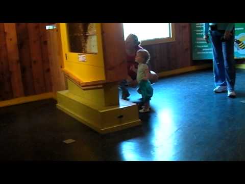 18 Brennan at Bee Exhibit 110710.MP4