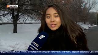 Главные новости. Выпуск от 20.11.2018