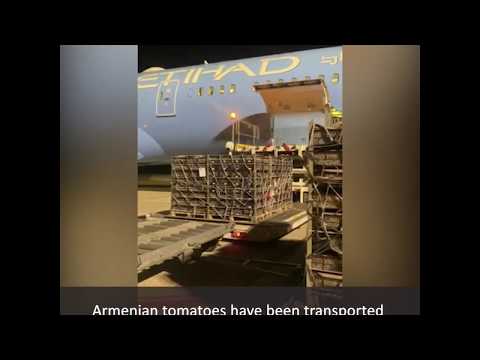 Armenian tomatoes have been transported to Dubai by special flight
