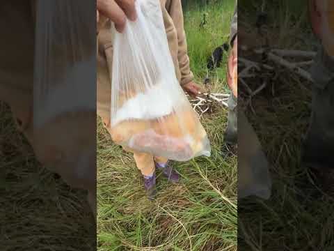 Gustavo Olivello  está en Makalle (Chaco) PARTE 2