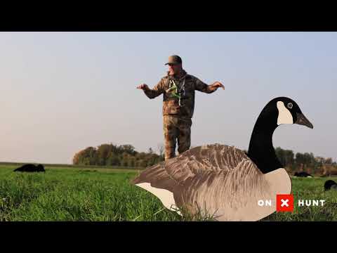 The BASICS Of Setting FIELD Decoy Spreads For GOOSE Hunting