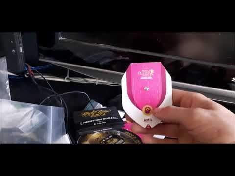 next years genetics! outdoor weed grow 2021