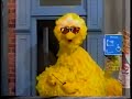 Sesame Street Scenes From Episode 3547
