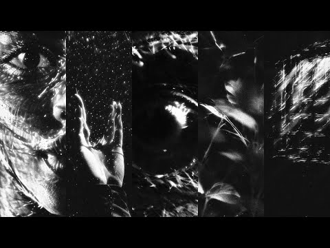 The Volunteers - [“L”] Full Album Lyric Video