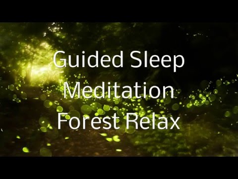 Guided Sleep Meditation FOREST RELAX By Jason Stephenson