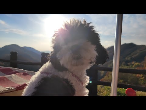 2022.10.29 / camping