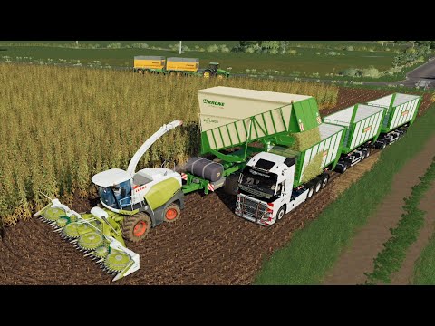 Ungesheim #37 | Farming Simulator 19 Timelapse |Sunflowers, Silage, Animal Care |FS19 Timelapse