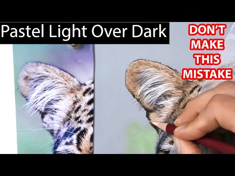 How To Draw Hair With Pastel: Essential Light Over Dark Tips | Jason Morgan Wildlife Art