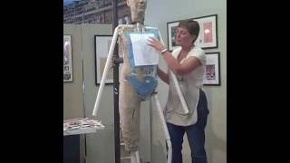 video - Building the Armature