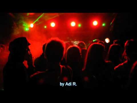 The Wild Party - Lucian Barbulescu