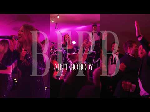 The Big Fat Party Band video.