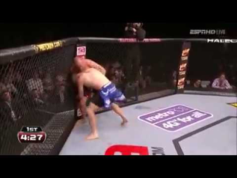 Wanderlei Silva x Brian stann