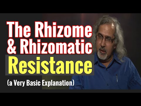 The Rhizome & Rhizomatic Resistance (Deleuze & Guattari): A Very Basic Explanation