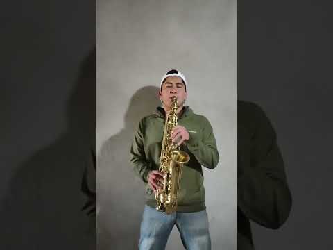 Auténticos Decadentes - Somos - Saxofón