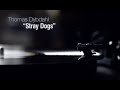 Thomas Dybdahl - "Stray Dogs" LP release