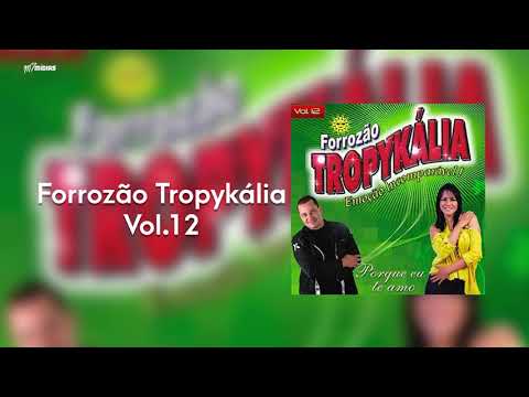 Forrozão Tropykália - Vol 12 - Porque Te Amo  - (CD Completo)
