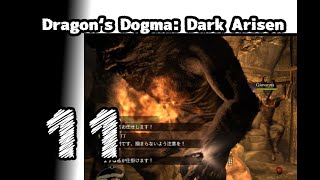 #11【Dragon's Dogma: Dark Arisen】疲れすぎたらこうなります【左腕のボスぬこ】
