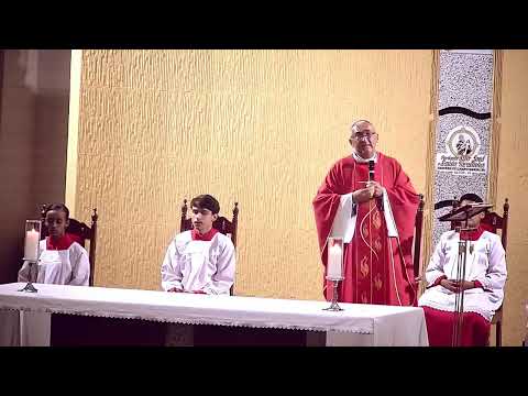NOVENA EM HONRA A SANTA TERESINHA DO MENINO JESUS | 01/06/2026
