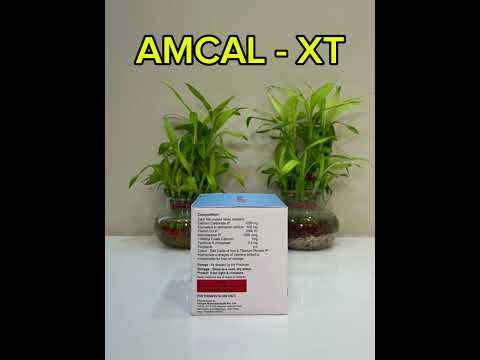 CalciumCarbonate,VitaminD3,Methylcobalamin,LMethylfolateCalcium&Pyridoxal5PhosphateAmcal XTTablets