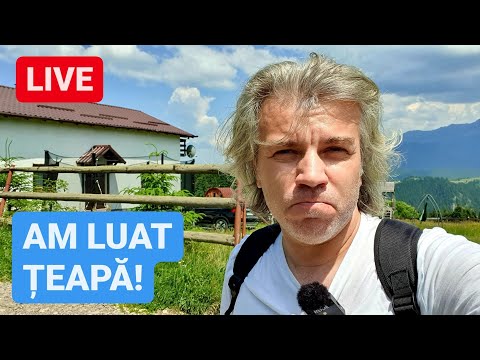 🔴 CEARTA cu PROPRIETARUL de la PENSIUNEA care m-a ȚEPUIT din FUNDATA