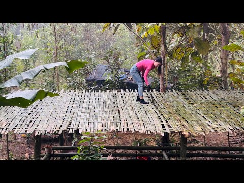 A Pig Pen in the Middle of the Forest Built from Bamboo
