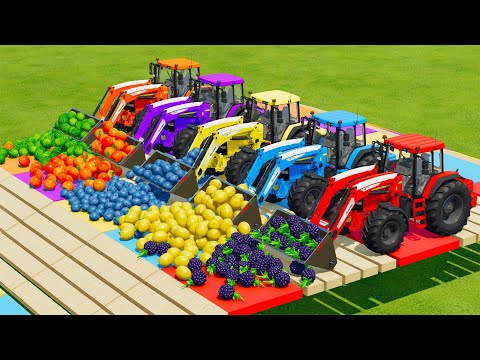 LOAD & TRANSPORT FRUITS WITH LAMBORGHINI AND JOHN DERRE TRACTORS - Farming Simulator 22