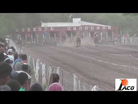 EL NOBLE HIPODROMO EL DESCUIDO EL BRETE 20 11 2022