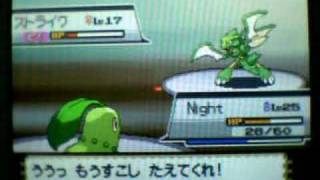 Breaktube & Doctorken2k Imported Pokemon Heart Gold ( Bugsy )