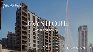 Video of Bayshore