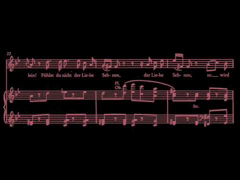 W. A. Mozart, Arie der Pamina, Zauberflöte: "Ach, ich fühl's, es ist verschwunden."