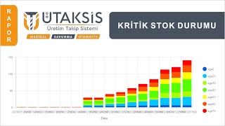 Kritik Stok Durumu Raporu