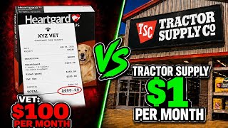 Preventing Heartworm For Only $1 A Month - Vet's Don't Want You To Know About This, Huge Savings!