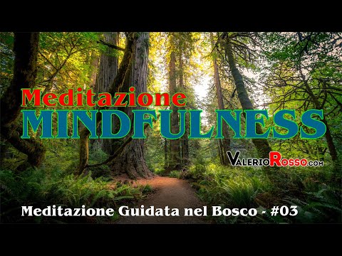 MINDFULNESS: Meditazione Guidata nel Bosco - #03