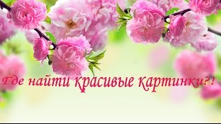 Где и как искать красивые картинки?!