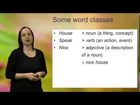 Word classes (open and closed classes)