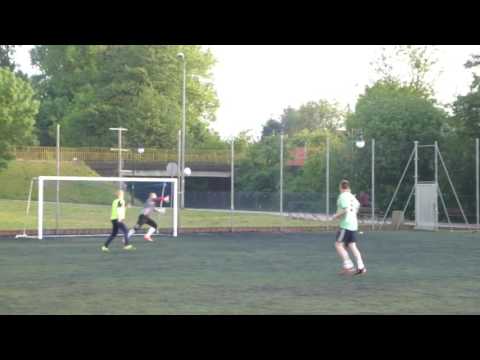ProFan Gościcino - 4 Pory Roku - WLPN - wiosna 2016 - goals