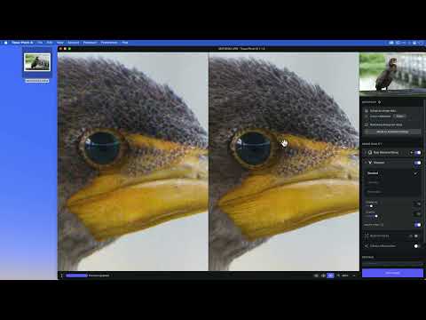 Topaz Photo AI Quick Start Video