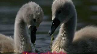 Sólo ayer- Eros Ramazzotti.