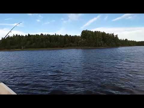 Perämerellä kalassa. "Lähteehän sitä nyt kallaa" ahventa,lohta,haukia. #perämeri #kalassa #fishing