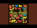Stray Cat Strut (Acoustic Version)