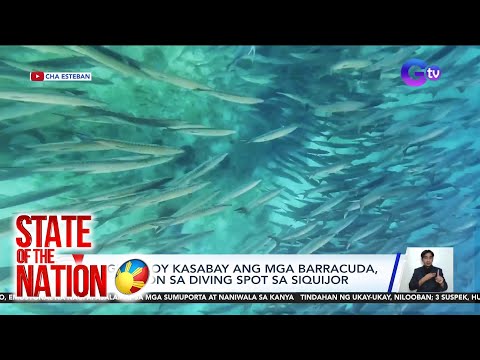 State of the Nation Part 2 & 3: Swimming with barracuda; Kwelang trip sa tag-init