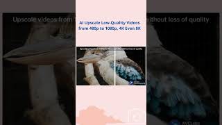 Upscale Low-Quality Videos from 480p to 1080p, 4K Even 8K Using AI
