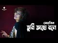 Tumi Acho Bole - তুমি আছো বলে | MEHREEN | Gan Bangla Lyrics | Lyric Video