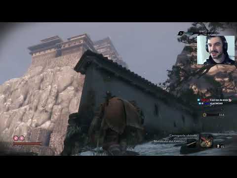 Tutto un mondo di mazzate [Sekiro, Blind Run 07]
