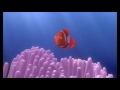 Finding Barracuda