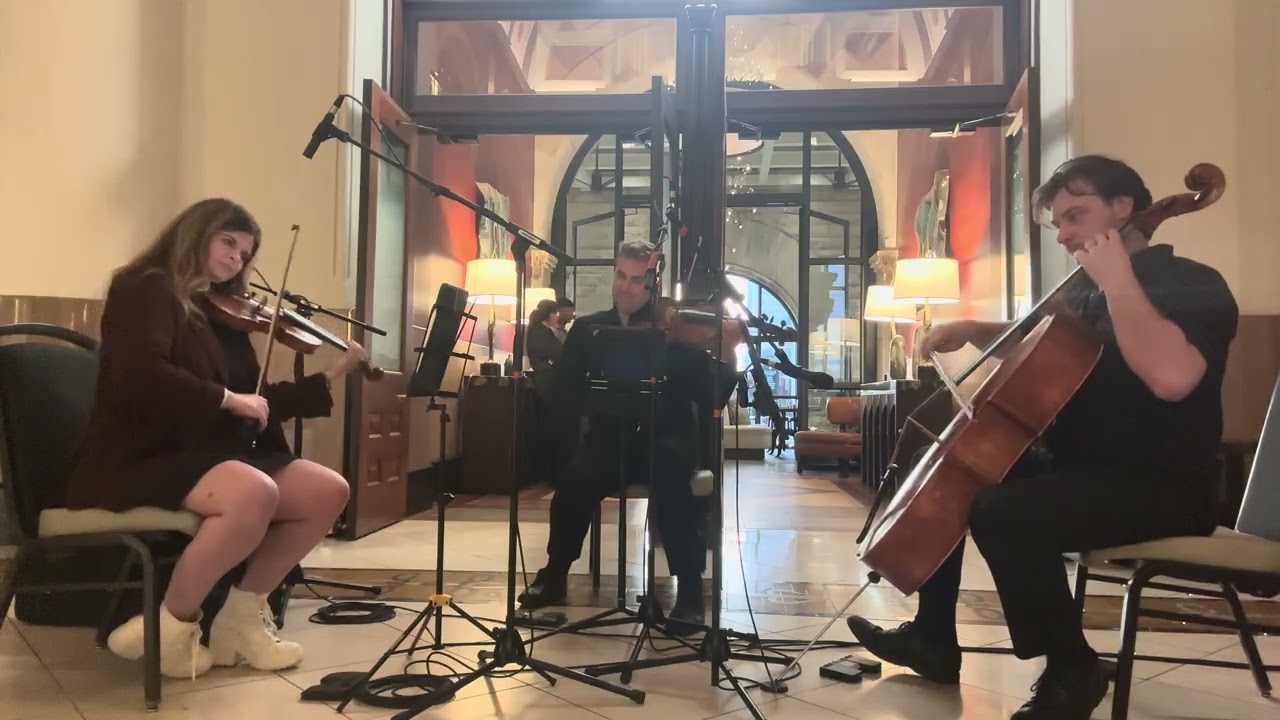 Promotional video thumbnail 1 for Rhose Studio Strings