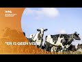 Boeren willen wel veranderen, maar missen een langetermijnvisie